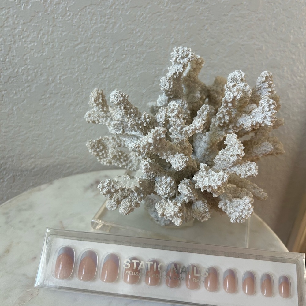 Static Nails Press-On Set in Nude and Cream